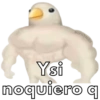Y si noquiero q