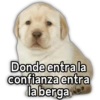 @Harley Stickers
Donde entra la
confianza entra
la berga