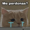 Me perdonas?
CHarlcy_8tickers