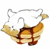 Gatitos <33 24