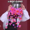 Posts apaixonados @rds_gang 23