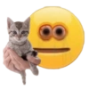 Shitpost Random 🥵 15