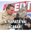 BOZOBURRO 6
