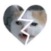 Gatos 20