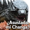 Kong vs Godzilla 22