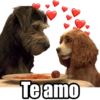 Películas de Disney 21