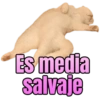 Bebecita lean  8