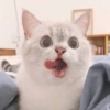 Милый котенок 7