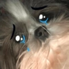 🐱🐾🐶 irl pets l 🐶🐾🐱 19