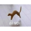 Para contestar 12
