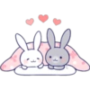 Lovely rabbit 21