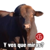 Cabaña Don Luis 15