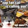 Meow Pi Miew 12