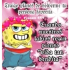 Bob cholo 7