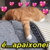 ❤️CANTADAS FOFAS ❤️ 5