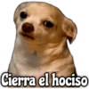 Memes de Perros 2🐶😂 11