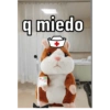 ENFERMERBROS🧑🏻‍⚕️🐱🐒 8