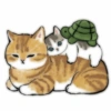 Gatitos <33 6