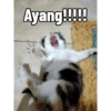 Ayang!!!!!