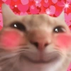 💖💞Love Reactions 3💞💖 23