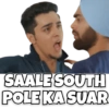 SAALE SOUTH POLE KA SUAR