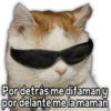 @Harley_Stickers
Por detrás me difamany
por delante me la maman