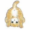 Gatitos <33 12