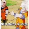 Goku 14