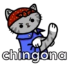 Pack de gatitos 20