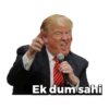 Donald Trump 13