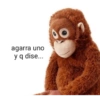 agarra uno y q dise...
