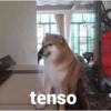 FIGURINHAS SUGERIDAS  8
