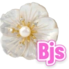 Pacote sete 7 23