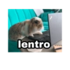 lentro
4233
