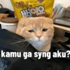 4
919
amador
kamu ga syng aku?