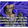 Dragon ball 17
