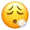 Emojis de iPhone 17
