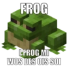Minecraft Dialekt 5