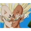 Dragon ball 19