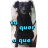 tu
quer
o que