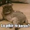 Lo pikir lo keren?