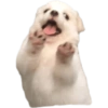 STICKERS QUE NECESITAS 🤣 22