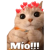 Michis hot 10