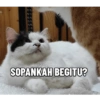 Bhintic dkk 28