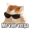 Gatos Sad 27