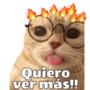 Michis hot 12