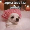 REAÇÕES 😂 8