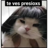 Gatitos random 27