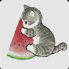 Gatitos <33 18