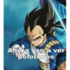 Dragon ball 20